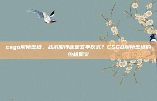 csgo厕所壁纸,战术加持还是玄学仪式?CSGO厕所壁纸的终极奥义