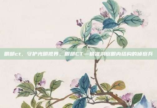 眼部ct,守护光明视界,眼部CT—精准洞察眼内结构的侦察兵