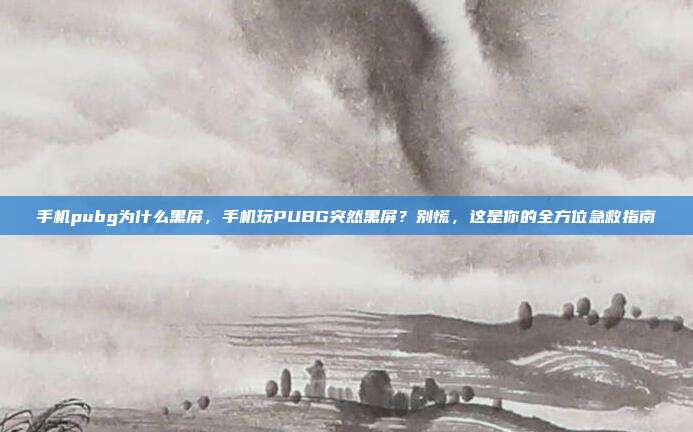 手机pubg为什么黑屏,手机玩PUBG突然黑屏?别慌,这是你的全方位急救指南