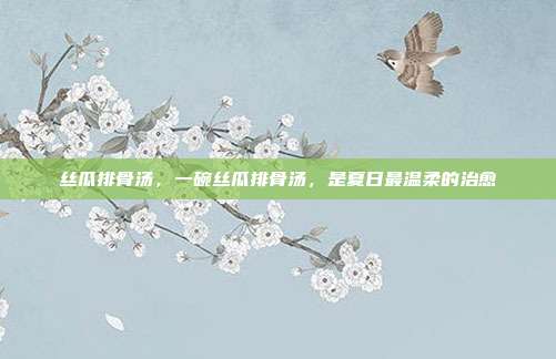 丝瓜排骨汤,一碗丝瓜排骨汤,是夏日最温柔的治愈