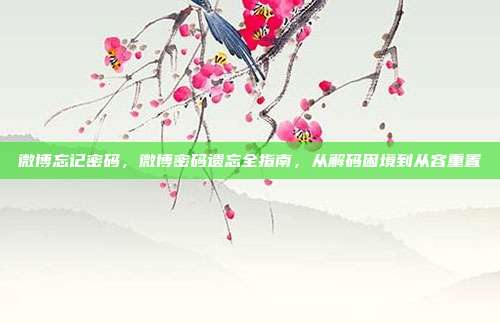 微博忘记密码,微博密码遗忘全指南,从解码困境到从容重置