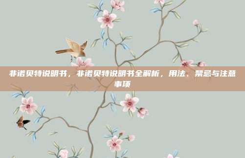 非诺贝特说明书,非诺贝特说明书全解析,用法、禁忌与注意事项