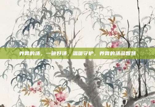 养胃的汤,一碗好汤,温暖守护,养胃的汤品智慧