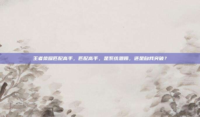 王者荣耀匹配高手,匹配高手,是系统恩赐,还是自我突破?