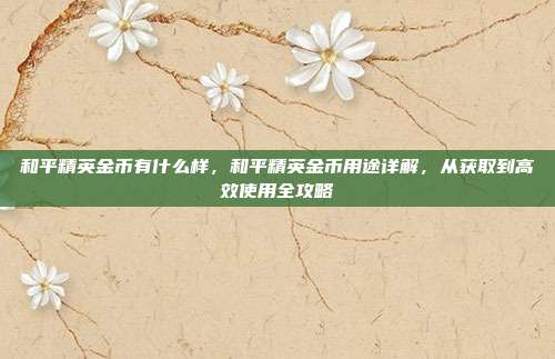 和平精英金币有什么样,和平精英金币用途详解,从获取到高效使用全攻略
