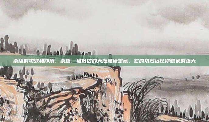 桑椹的功效和作用,桑椹,被低估的天然健康宝藏,它的功效远比你想象的强大