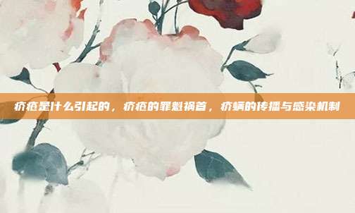 疥疮是什么引起的,疥疮的罪魁祸首,疥螨的传播与感染机制