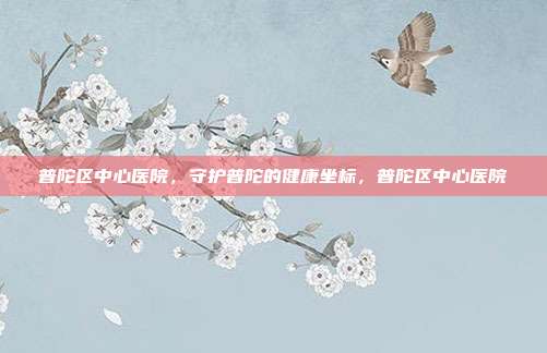 普陀区中心医院,守护普陀的健康坐标,普陀区中心医院