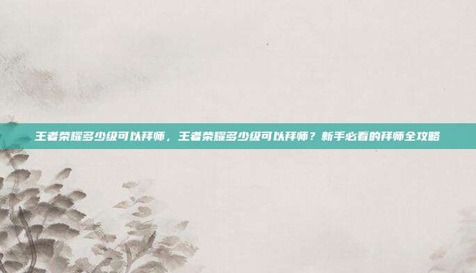 王者荣耀多少级可以拜师,王者荣耀多少级可以拜师?新手必看的拜师全攻略