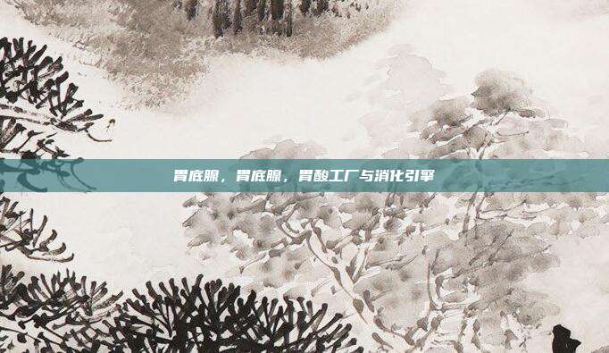 胃底腺,胃底腺,胃酸工厂与消化引擎