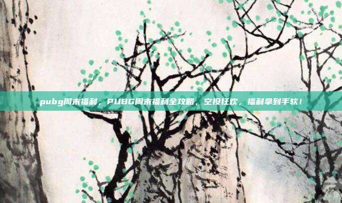 pubg周末福利,PUBG周末福利全攻略,空投狂欢,福利拿到手软!