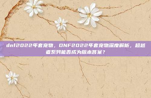 dnf2022年套宠物,DNF2022年套宠物深度解析,超越者系列能否成为版本答案?