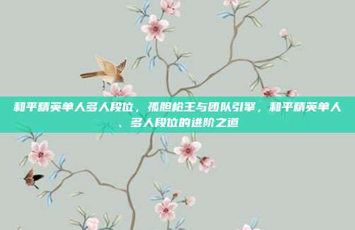 和平精英单人多人段位,孤胆枪王与团队引擎,和平精英单人、多人段位的进阶之道
