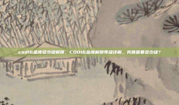 cod16金皮多少级解锁,COD16金皮解锁等级详解,究竟需要多少级?