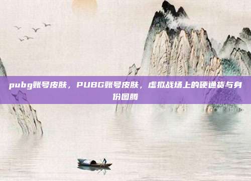 pubg账号皮肤,PUBG账号皮肤,虚拟战场上的硬通货与身份图腾