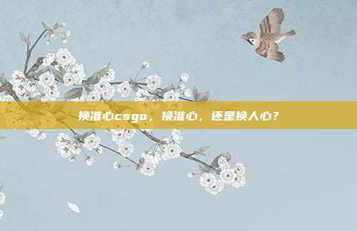 换准心csgo,换准心,还是换人心?