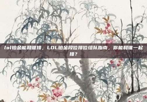 lol铂金能和谁排,LOL铂金段位排位组队指南,你能和谁一起排?