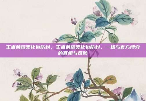 王者荣耀美化包防封,王者荣耀美化包防封,一场与官方博弈的真相与风险