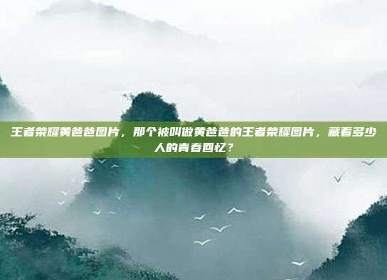王者荣耀黄爸爸图片,那个被叫做黄爸爸的王者荣耀图片,藏着多少人的青春回忆?