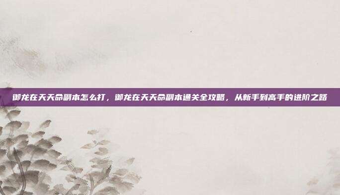 御龙在天天命副本怎么打,御龙在天天命副本通关全攻略,从新手到高手的进阶之路