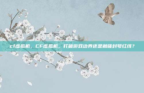 cf虚拟机,CF虚拟机,打破游戏边界还是触碰封号红线?