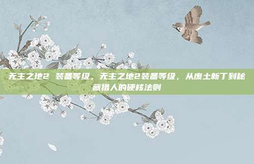 无主之地2 装备等级,无主之地2装备等级,从废土新丁到秘藏猎人的硬核法则