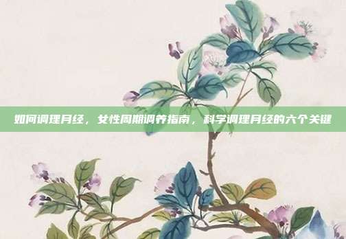 如何调理月经,女性周期调养指南,科学调理月经的六个关键
