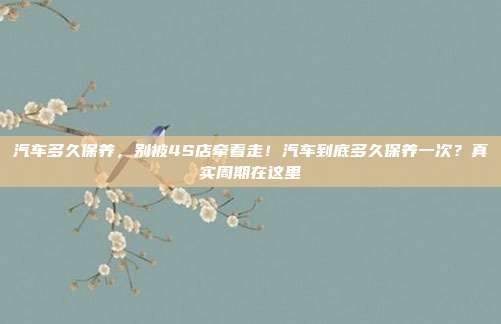 汽车多久保养,别被4S店牵着走!汽车到底多久保养一次?真实周期在这里