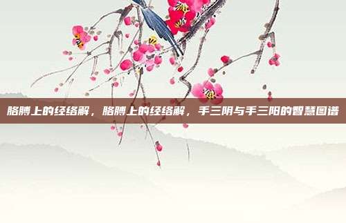 胳膊上的经络解,胳膊上的经络解,手三阴与手三阳的智慧图谱