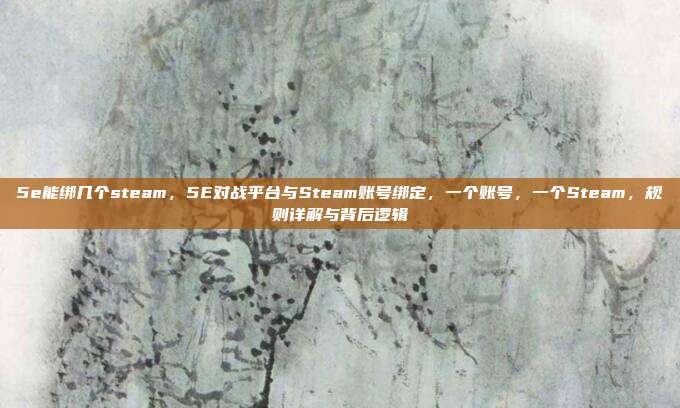 5e能绑几个steam,5E对战平台与Steam账号绑定,一个账号,一个Steam,规则详解与背后逻辑
