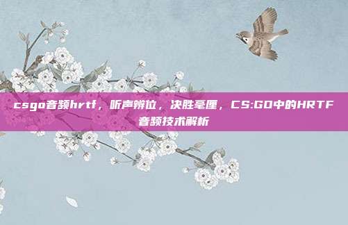 csgo音频hrtf,听声辨位,决胜毫厘,CS:GO中的HRTF音频技术解析