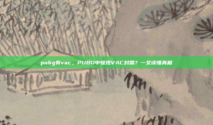 pubg有vac,PUBG中惊现VAC封禁?一文读懂真相