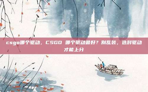 csgo哪个驱动,CSGO 哪个驱动最好?别乱装,选对驱动才能上分