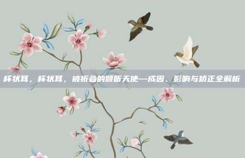 杯状耳,杯状耳,被折叠的倾听天使—成因、影响与矫正全解析