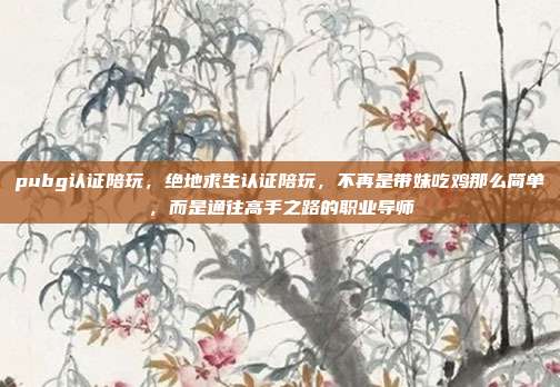 pubg认证陪玩,绝地求生认证陪玩,不再是带妹吃鸡那么简单,而是通往高手之路的职业导师