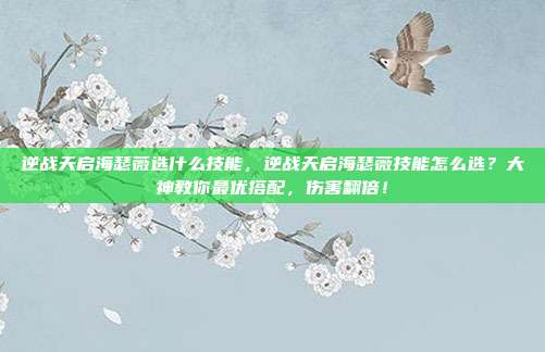 逆战天启海瑟薇选什么技能,逆战天启海瑟薇技能怎么选?大神教你最优搭配,伤害翻倍!