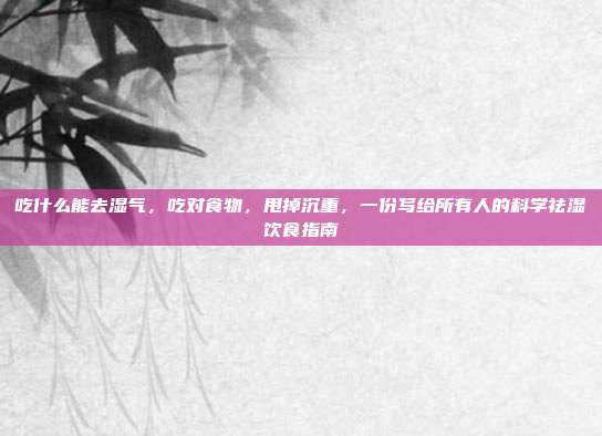 吃什么能去湿气,吃对食物,甩掉沉重,一份写给所有人的科学祛湿饮食指南
