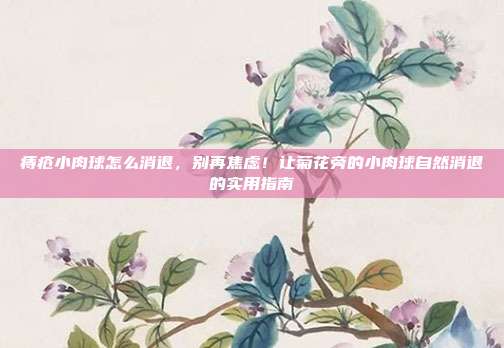 痔疮小肉球怎么消退,别再焦虑!让菊花旁的小肉球自然消退的实用指南
