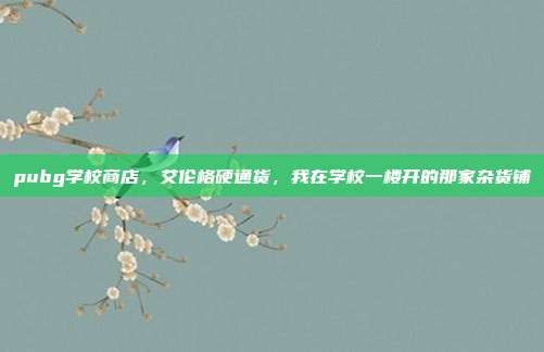 pubg学校商店,艾伦格硬通货,我在学校一楼开的那家杂货铺