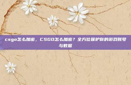 csgo怎么加密,CSGO怎么加密?全方位保护你的游戏账号与数据