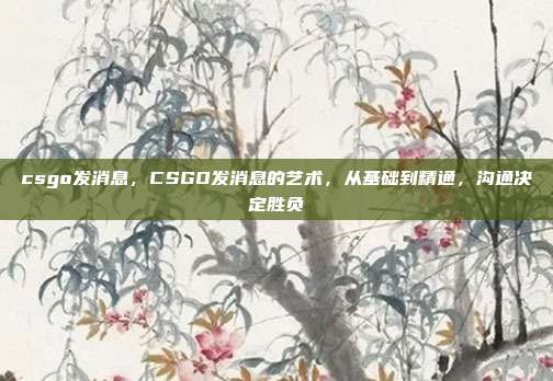 csgo发消息,CSGO发消息的艺术,从基础到精通,沟通决定胜负