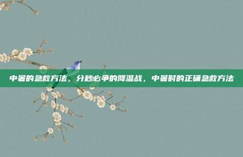 中暑的急救方法,分秒必争的降温战,中暑时的正确急救方法
