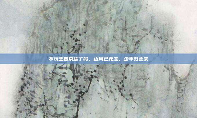 不玩王者荣耀了吗,山河已无恙,少年归去来