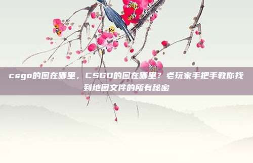 csgo的图在哪里,CSGO的图在哪里?老玩家手把手教你找到地图文件的所有秘密