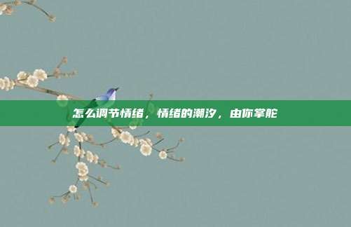 怎么调节情绪,情绪的潮汐,由你掌舵