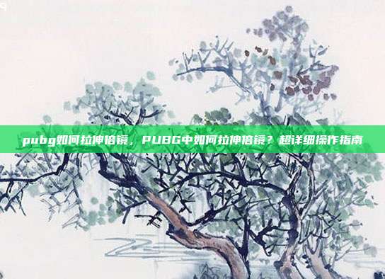 pubg如何拉伸倍镜,PUBG中如何拉伸倍镜?超详细操作指南