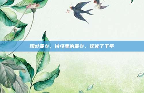 阔叶麦冬,诗经里的麦冬,误读了千年