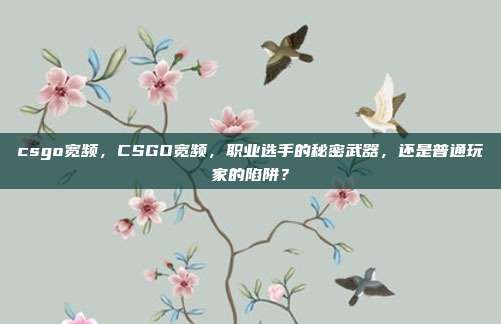csgo宽频,CSGO宽频,职业选手的秘密武器,还是普通玩家的陷阱?