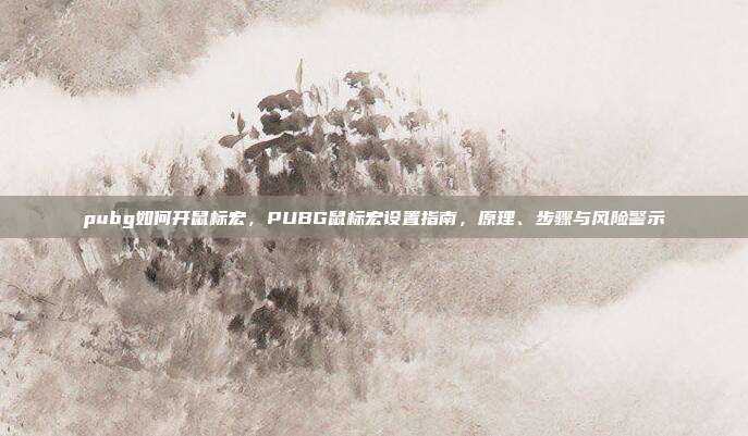pubg如何开鼠标宏,PUBG鼠标宏设置指南,原理、步骤与风险警示