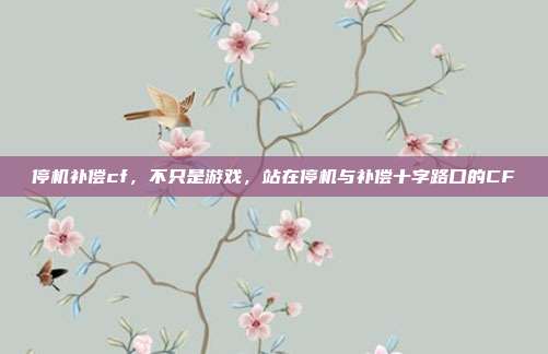 停机补偿cf,不只是游戏,站在停机与补偿十字路口的CF
